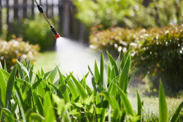 Tamper-Resistant Bait Stations for Rodents in Onawa