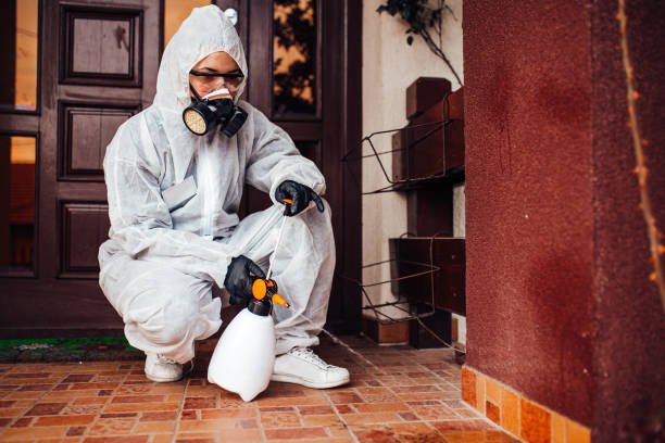 Attic and Crawl Space Rodent Treatment in Onawa