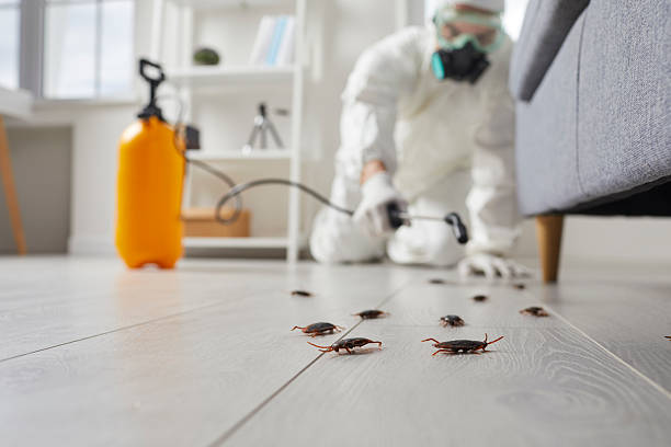 Commercial Rodent Management in Onawa